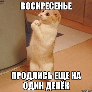 Смешные-мемы-про-воскресенье001.jpg