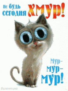 1329571668_ne-bud-segodnya-xmur-...-mur.gif