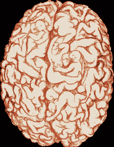 manbrain.gif