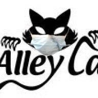 Alley Cat